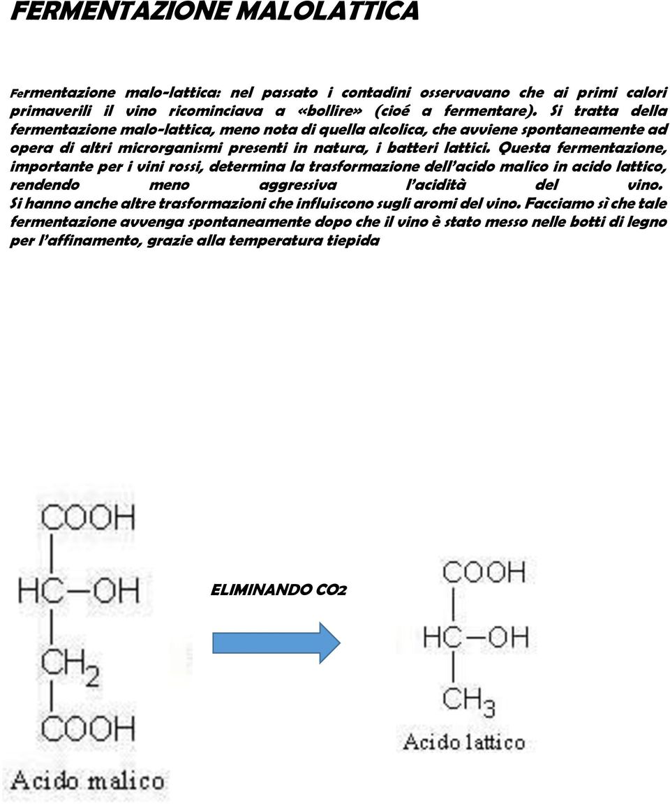 Questa fermentazione, importante per i vini rossi, determina la trasformazione dell acido malico in acido lattico, rendendo meno aggressiva l acidità del vino.