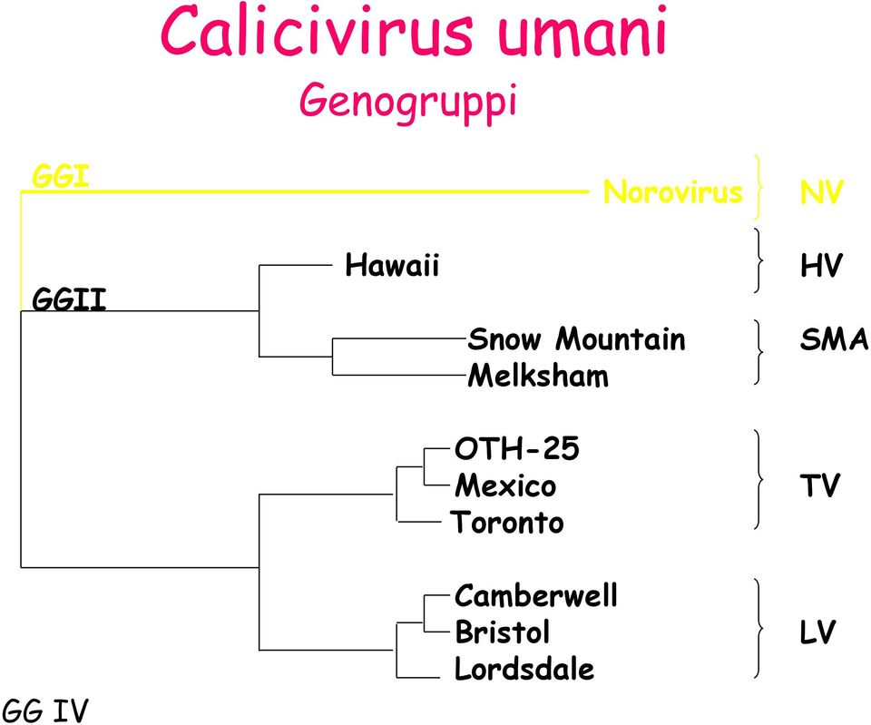 Mountain Melksham HV SMA OTH-25