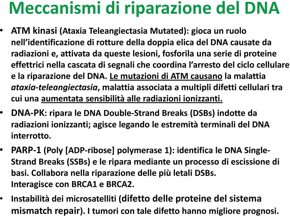 Le mutazioni di ATM causano la malattia ataxia-teleangiectasia, malattia associata a multipli difetti cellulari tra cui una aumentata sensibilità alle radiazioni ionizzanti.