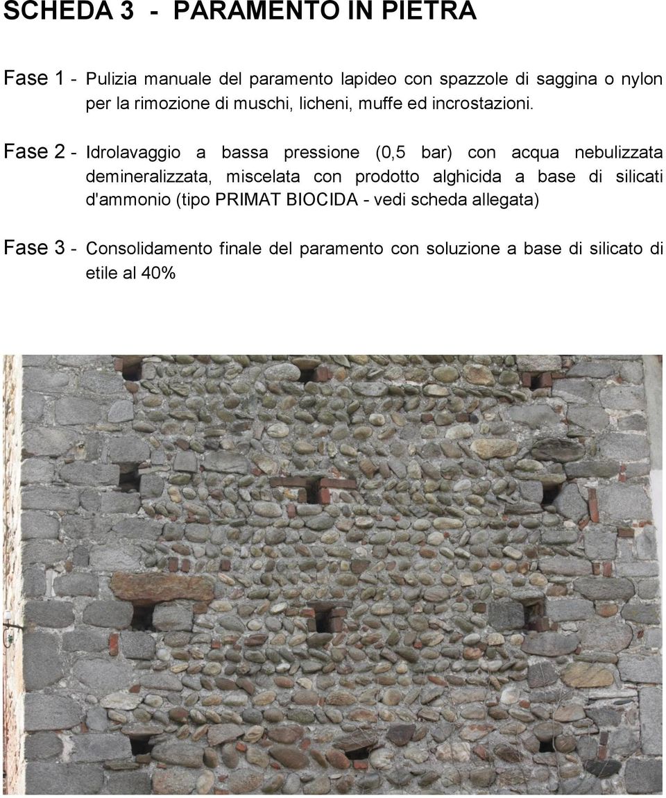 Fase 2 - Idrolavaggio a bassa pressione (0,5 bar) con acqua nebulizzata demineralizzata, miscelata con prodotto