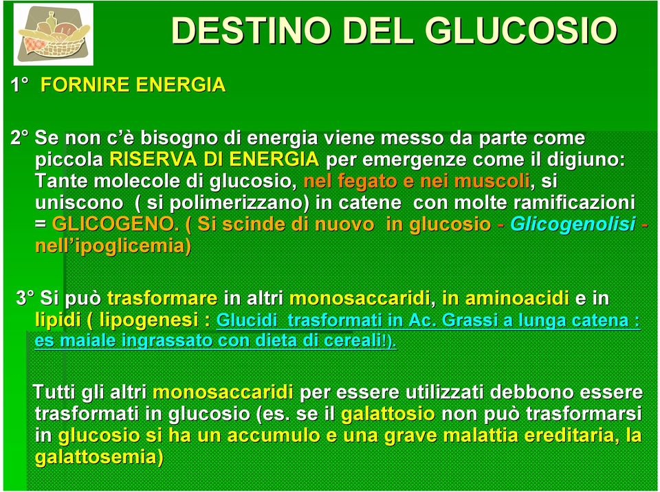 ( Si scinde di nuovo in glucosio - Glicogenolisi - nell ipoglicemia) 3 Si può trasformare in altri monosaccaridi, in aminoacidi e in lipidi ( lipogenesi : Glucidi trasformati in Ac es