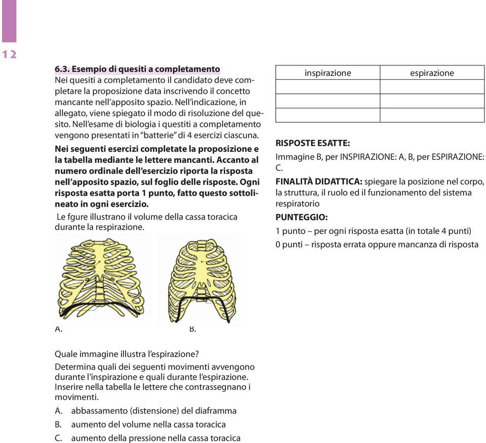 Nei seguenti esercizi completate la proposizione e la tabella mediante le lettere mancanti.