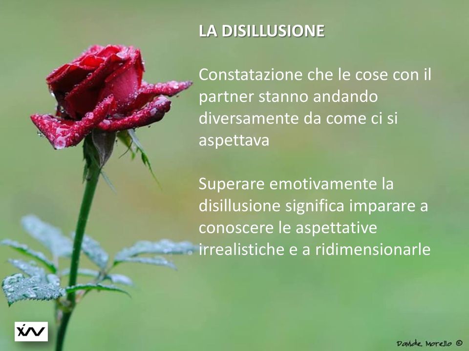 Superare emotivamente la disillusione significa imparare