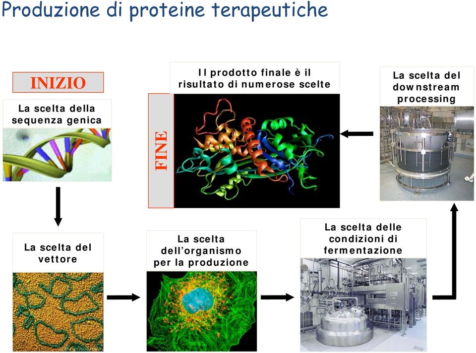 Production Process La scelta del downstream processing La scelta del vettore