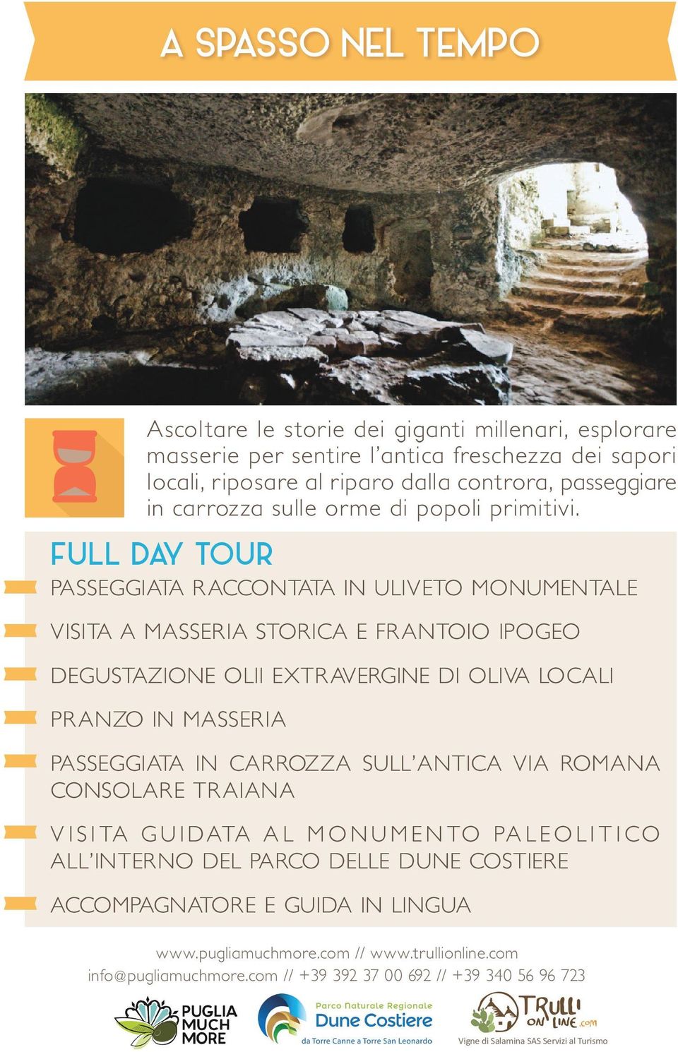 PASSEGGIATA RACCONTATA IN ULIVETO MONUMENTALE VISITA A MASSERIA STORICA E FRANTOIO IPOGEO DEGUSTAZIONE OLII EXTRAVERGINE DI OLIVA