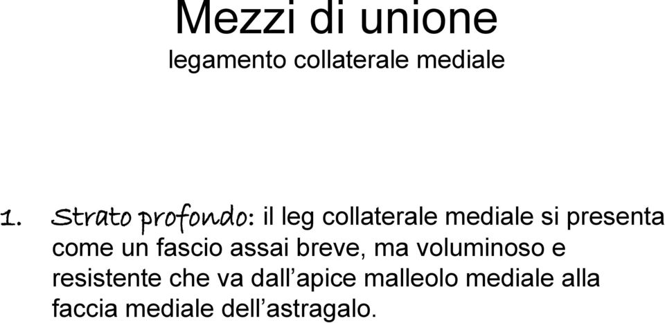 come un fascio assai breve, ma voluminoso e resistente