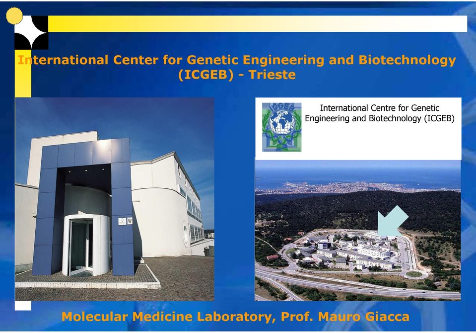 Centre for Genetic Engineering and Biotechnology