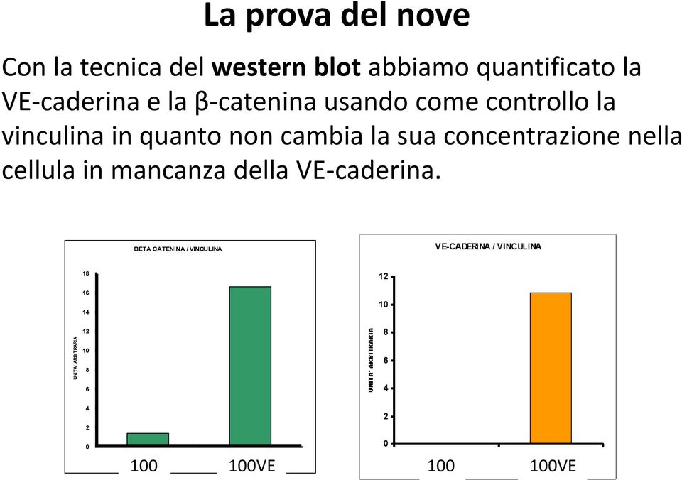 in quanto non cambia la sua concentrazione nella cellula in mancanza della