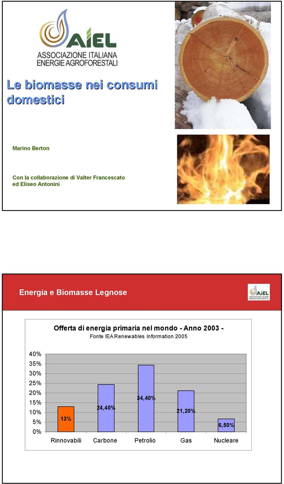 primaria nel mondo - Anno 2003 - Fonte IEA Renewables Information 2005 40% 35% 30%