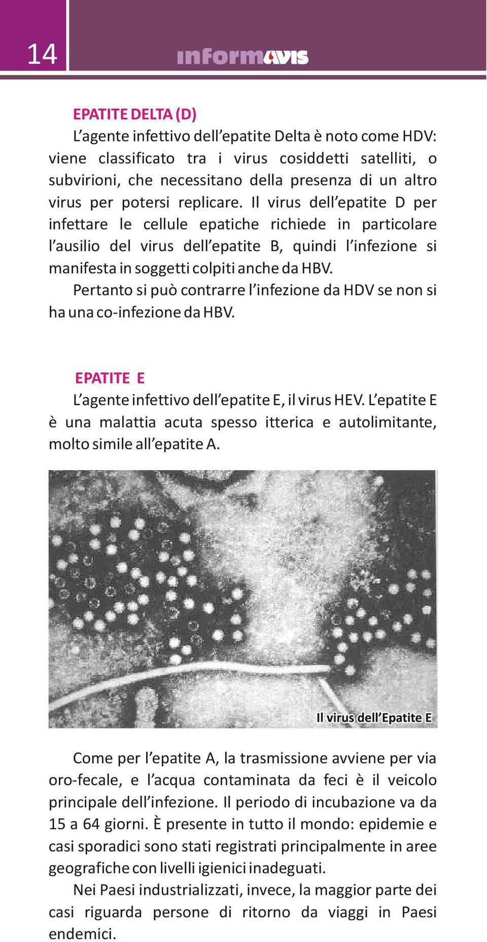 Il virus dell epatite D per infettare le cellule epatiche richiede in particolare l ausilio del virus dell epatite B, quindi l infezione si manifesta in soggetti colpiti anche da HBV.