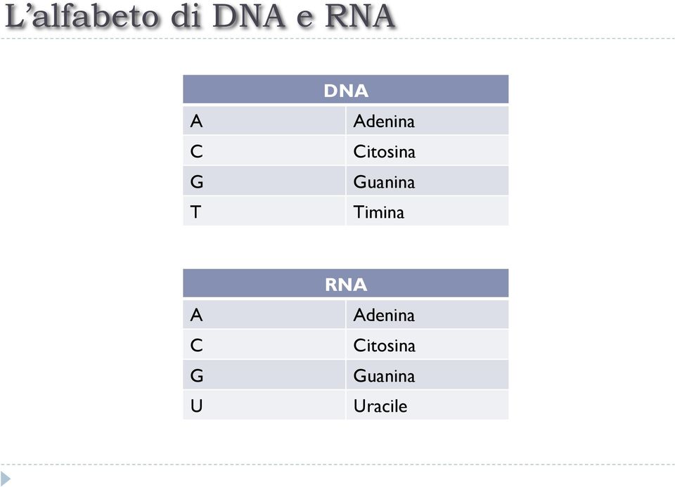 Guanina Timina A C G U RNA