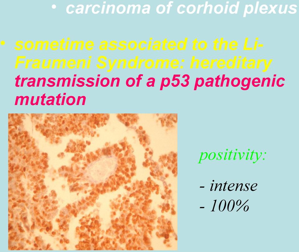 hereditary transmission of a p53