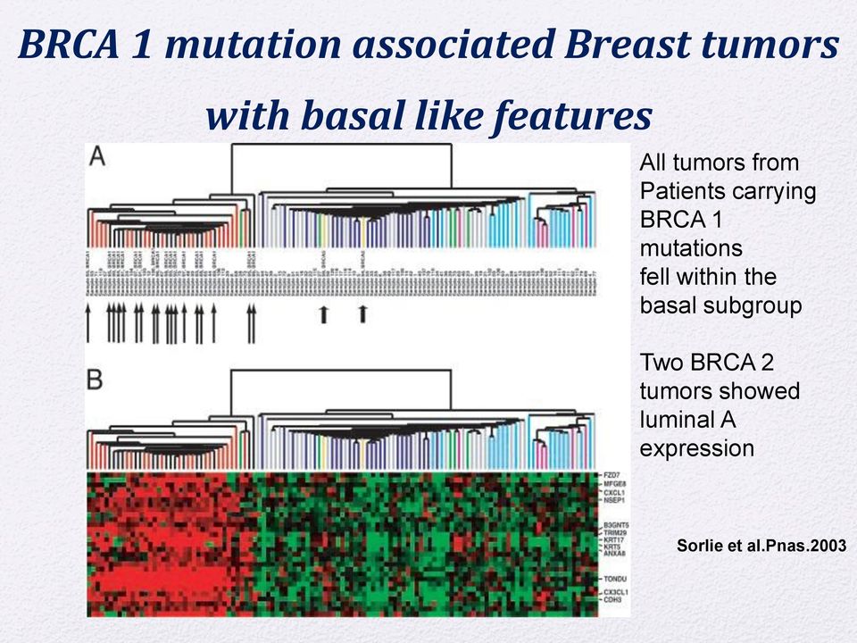 1 mutations fell within the basal subgroup Two BRCA 2