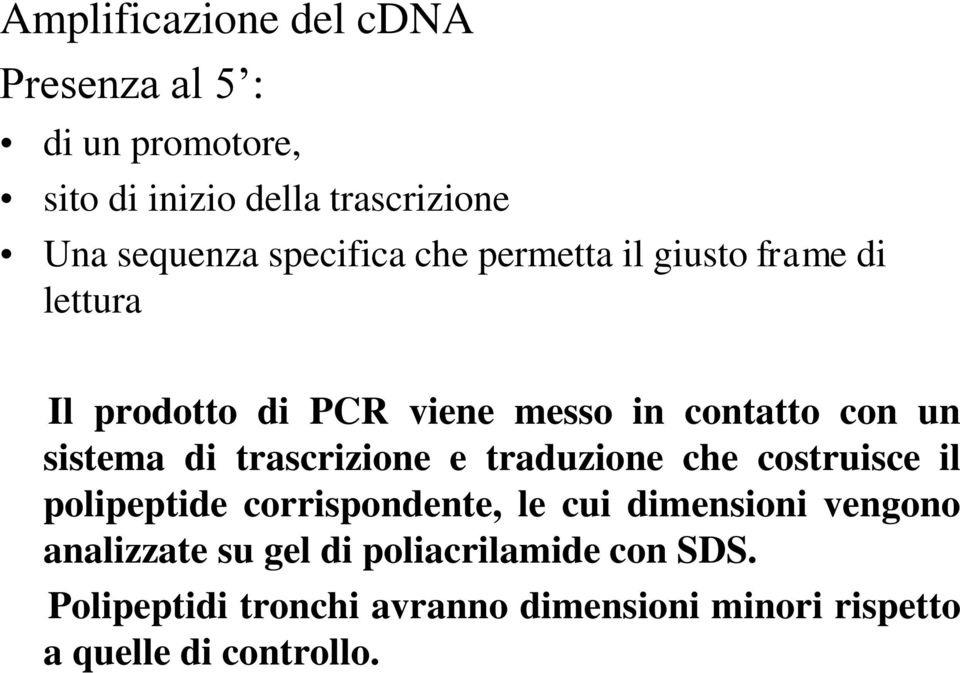 di trascrizione e traduzione che costruisce il polipeptide corrispondente, le cui dimensioni vengono