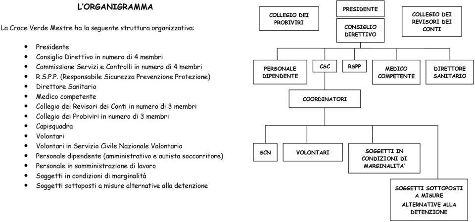 P. (Responsabile Sicurezza Prevenzione Protezione) Direttore Sanitario Medico competente Collegio dei Revisori dei Conti in numero di 3 membri Collegio dei Probiviri in numero di 3 membri Capisquadra