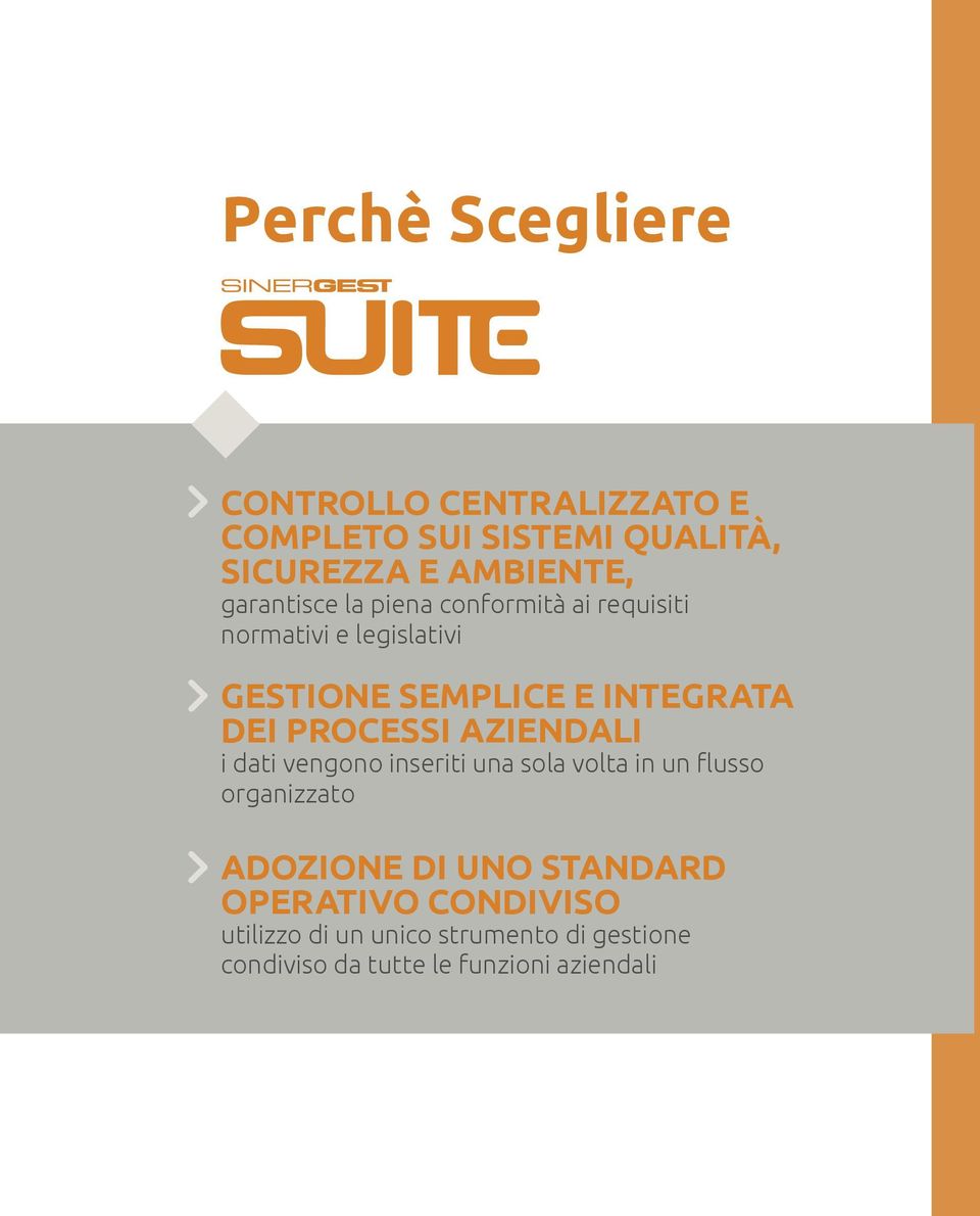 PROCESSI AZIENDALI i dati vengono inseriti una sola volta in un flusso organizzato ADOZIONE DI UNO