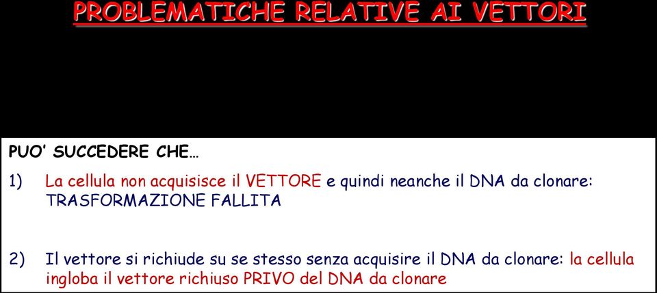 TRASFORMAZIONE FALLITA 2) Il vettore si richiude su se stesso senza