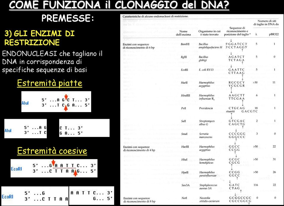 ENDONUCLEASI che tagliano il DNA in