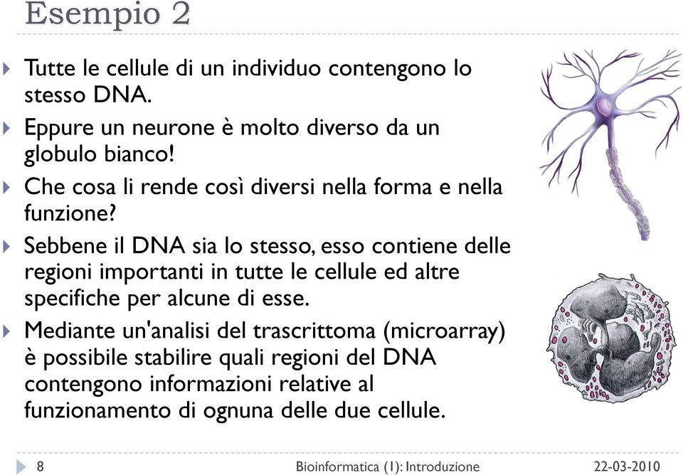 Sebbene il DNA sia lo stesso, esso contiene delle regioni importanti in tutte le cellule ed altre specifiche per alcune di esse.