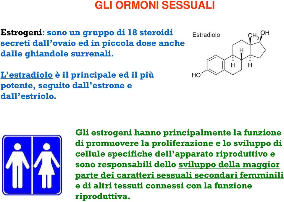 l Gli estrogeni hanno principalmente la funzione di promuovere la proliferazione e lo sviluppo di cellule specifiche dell apparato