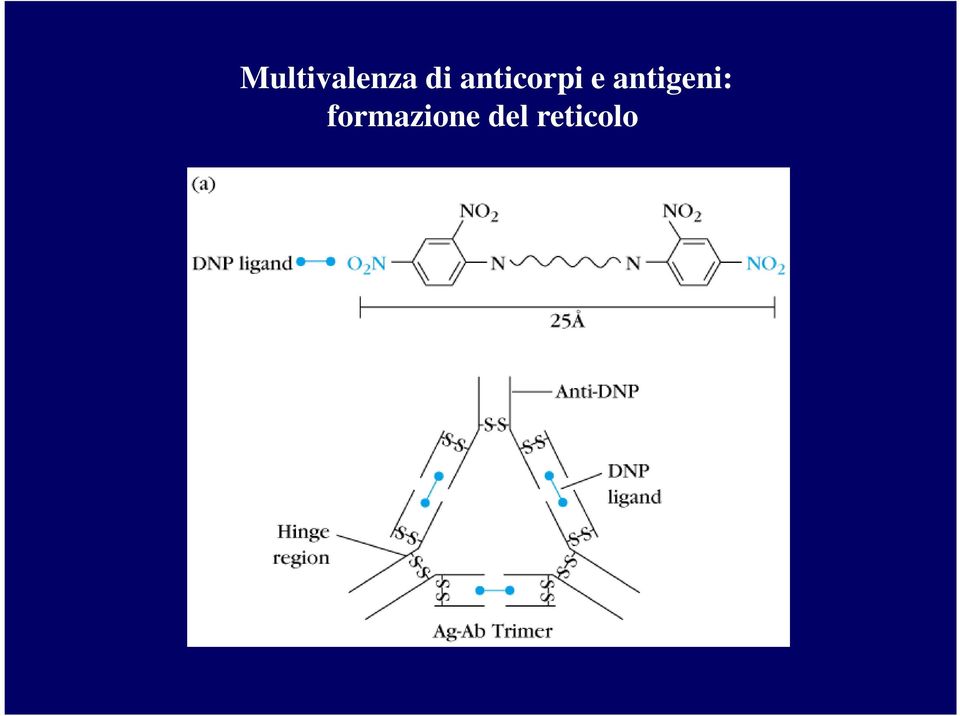 antigeni: