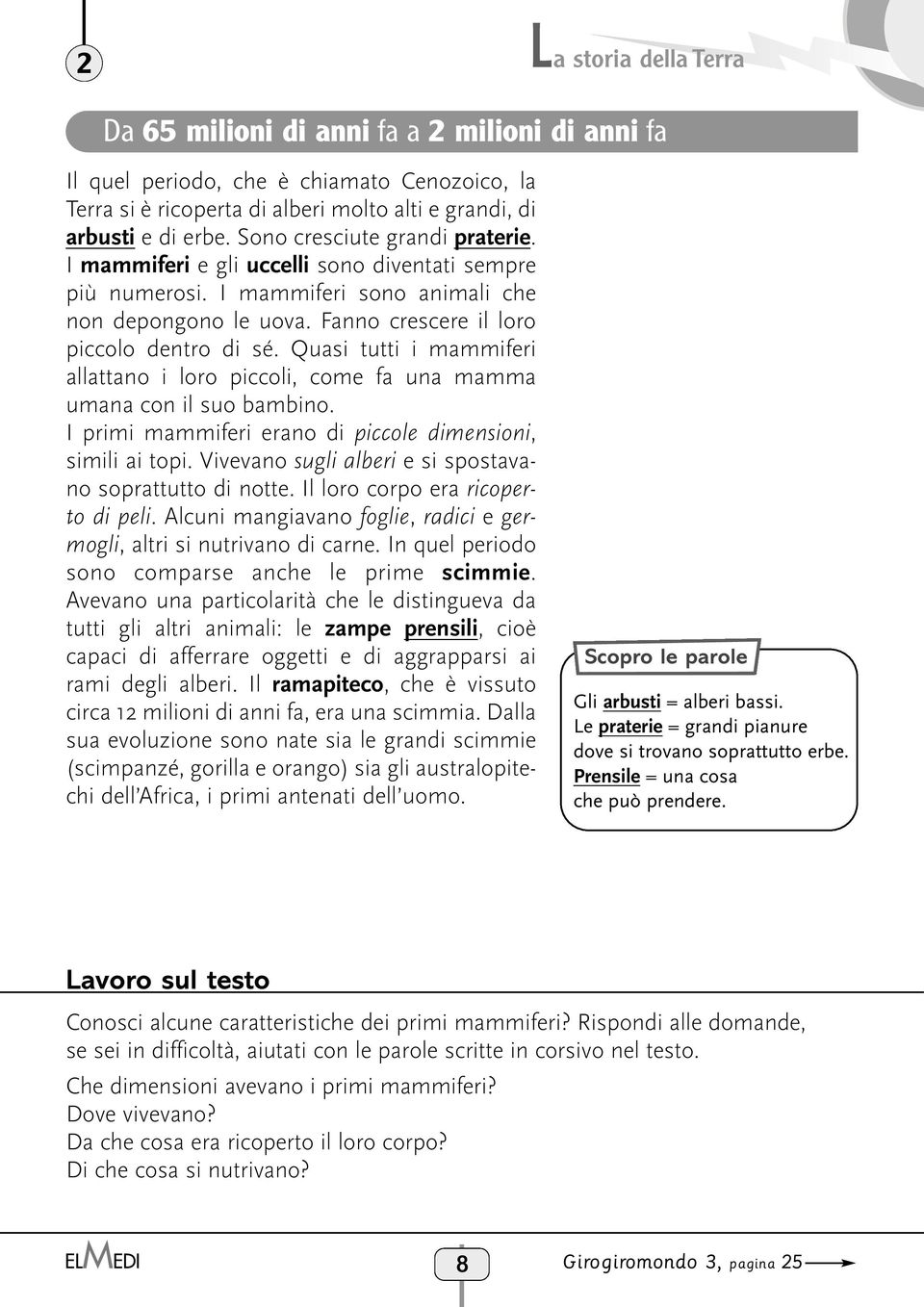 Quasi tutti i mammiferi allattano i loro piccoli, come fa una mamma umana con il suo bambino. I primi mammiferi erano di piccole dimensioni, simili ai topi.