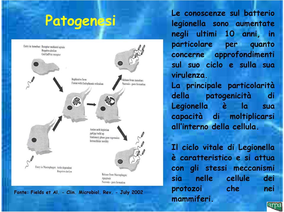 approfondimenti sul suo ciclo e sulla sua virulenza.