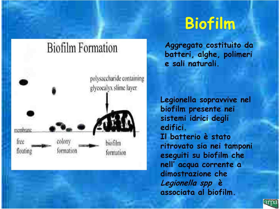 edifici.