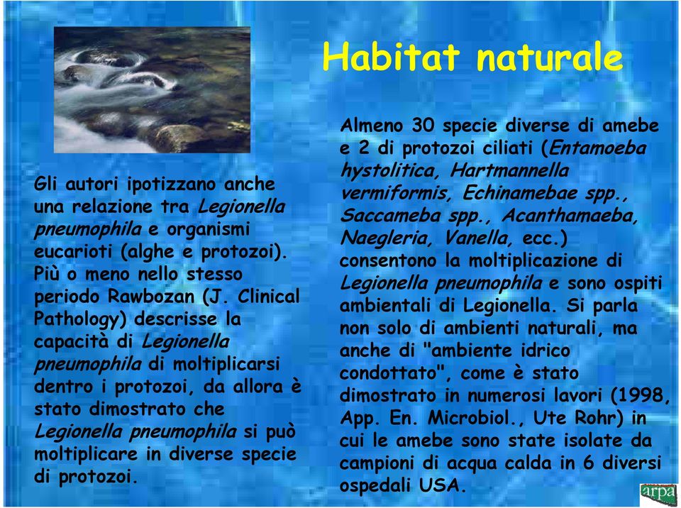 di protozoi. Almeno 30 specie diverse di amebe e 2 di protozoi ciliati (Entamoeba hystolitica, Hartmannella vermiformis, Echinamebae spp., Saccameba spp., Acanthamaeba, Naegleria, Vanella, ecc.