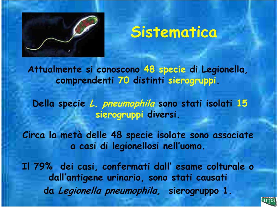 Circa la metà delle 48 specie isolate sono associate a casi di legionellosi nell uomo.