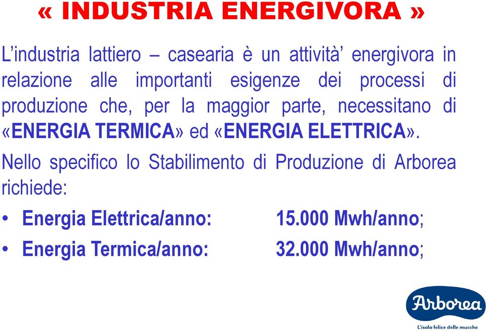 «ENERGIA TERMICA» ed «ENERGIA ELETTRICA».