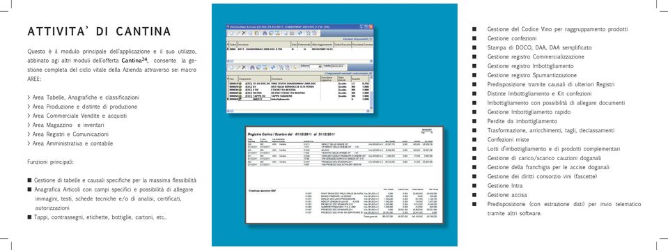 e Comunicazioni > Area Amministrativa e contabile Gestione di tabelle e causali specifiche per la massima flessibilità Anagrafica Articoli con campi specifici e possibilità di allegare immagini,