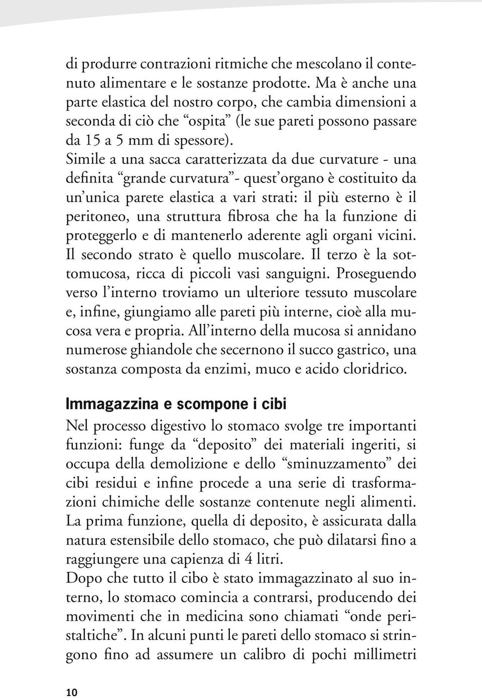 Simile a una sacca caratterizzata da due curvature - una definita grande curvatura - quest organo è costituito da un unica parete elastica a vari strati: il più esterno è il peritoneo, una struttura