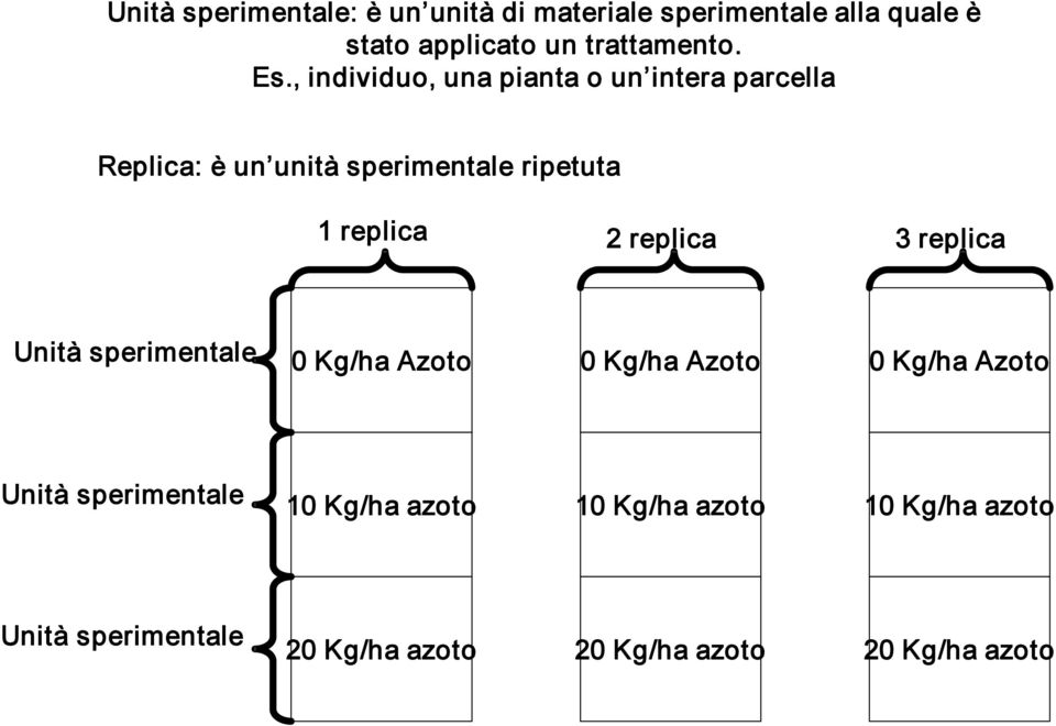 replica 3 replica Unità sperimentale 0 Kg/ha Azoto 0 Kg/ha Azoto 0 Kg/ha Azoto Unità sperimentale 10