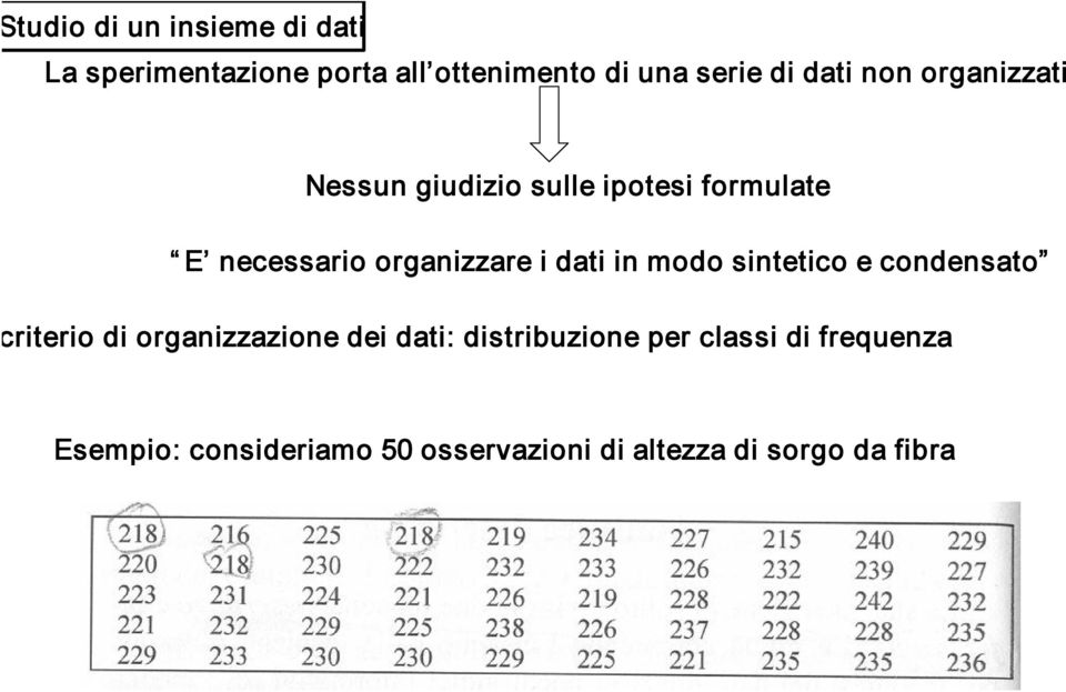 dati in modo sintetico e condensato criterio di organizzazione dei dati: distribuzione