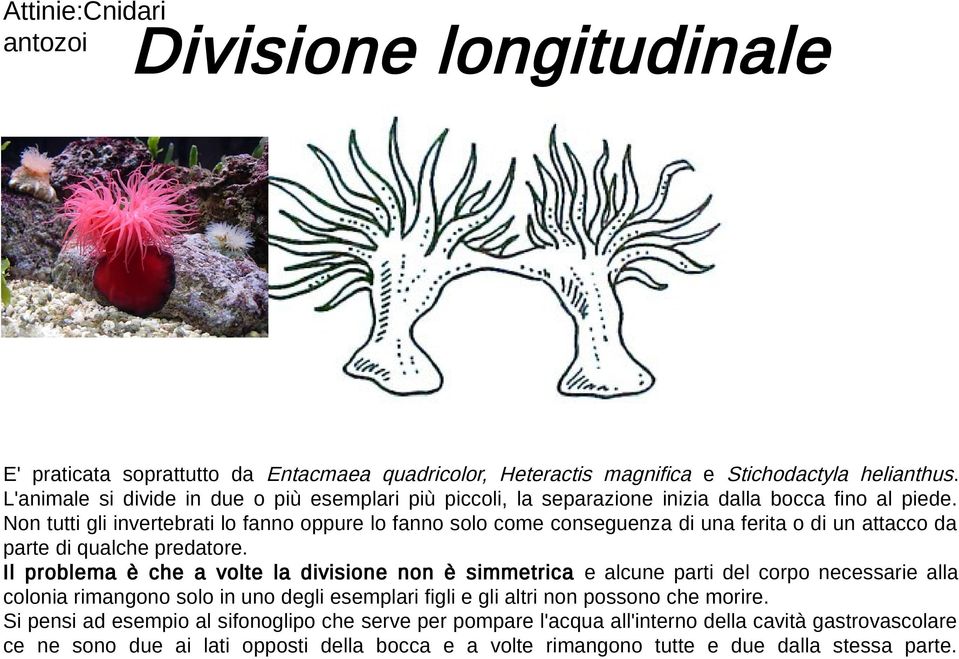 Non tutti gli invertebrati lo fanno oppure lo fanno solo come conseguenza di una ferita o di un attacco da parte di qualche predatore.