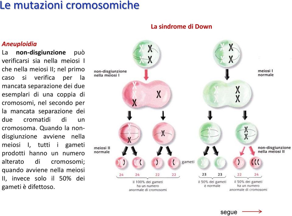 per la mancata separazione dei due cromatidi di un cromosoma.