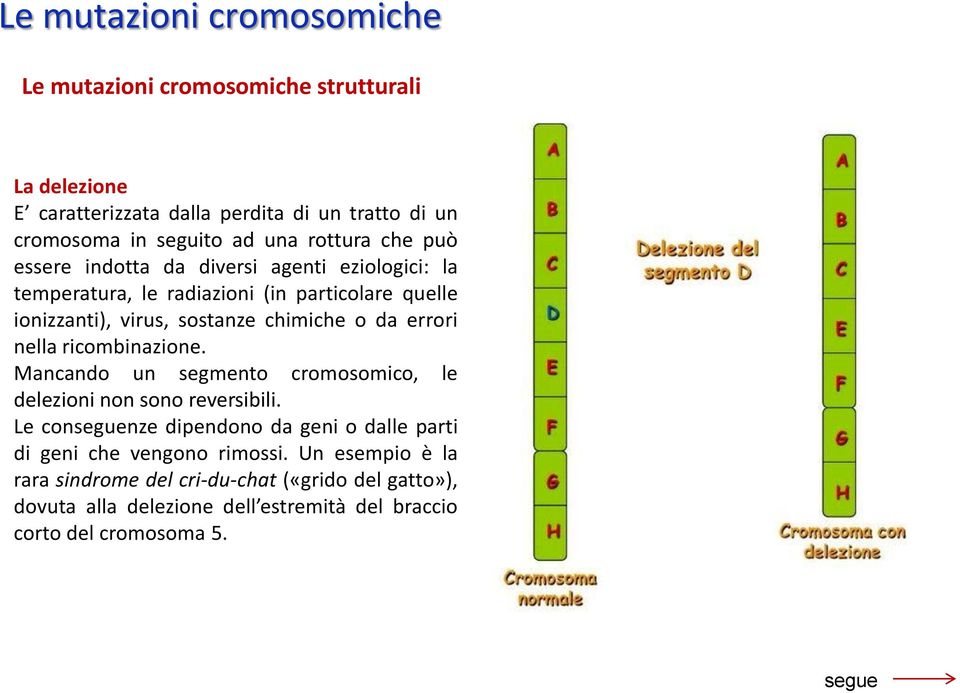 errori nella ricombinazione. Mancando un segmento cromosomico, le delezioni non sono reversibili.