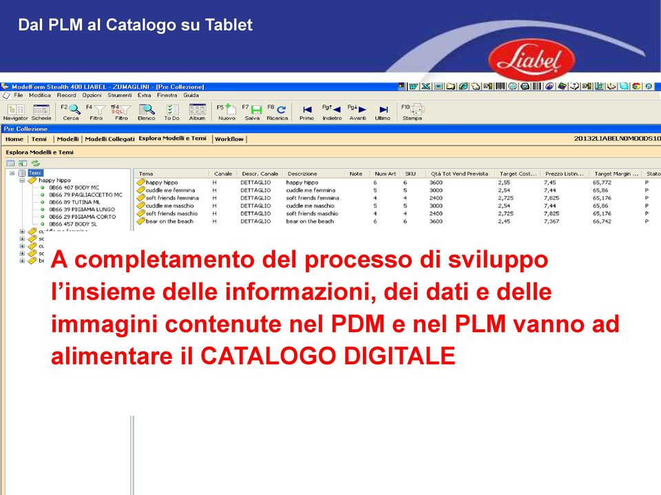 delle immagini contenute nel PDM e nel