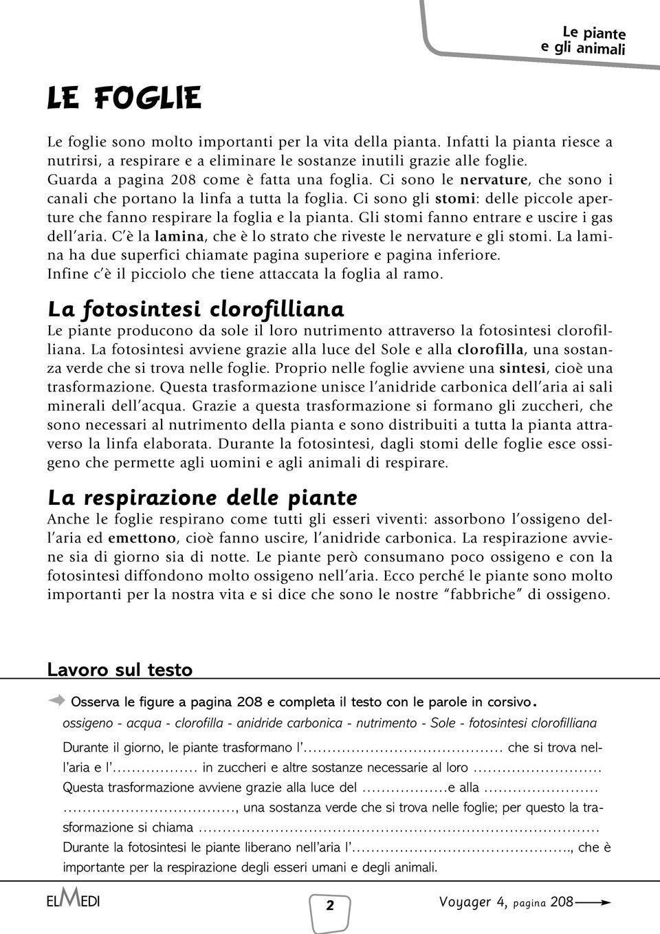 Ci sono gli stomi: delle piccole aperture che fanno respirare la foglia e la pianta. Gli stomi fanno entrare e uscire i gas dell aria.