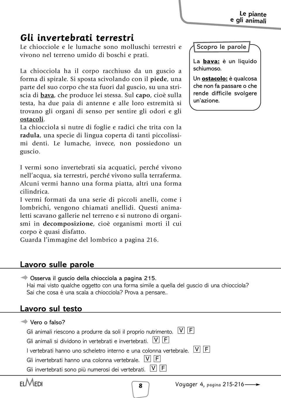 Sul capo, cioè sulla testa, ha due paia di antenne e alle loro estremità si trovano gli organi di senso per sentire gli odori e gli ostacoli.