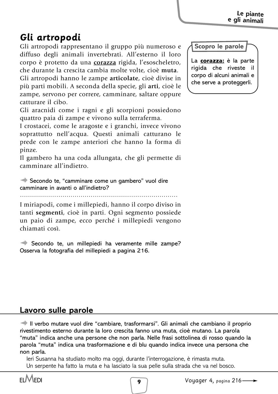 Gli artropodi hanno le zampe articolate, cioè divise in più parti mobili. A seconda della specie, gli arti, cioè le zampe, servono per correre, camminare, saltare oppure catturare il cibo.