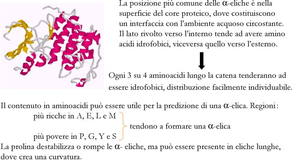 Ogni 3 su 4 aminoacidi lungo la catena tenderanno ad essere idrofobici, distribuzione facilmente individuabile.