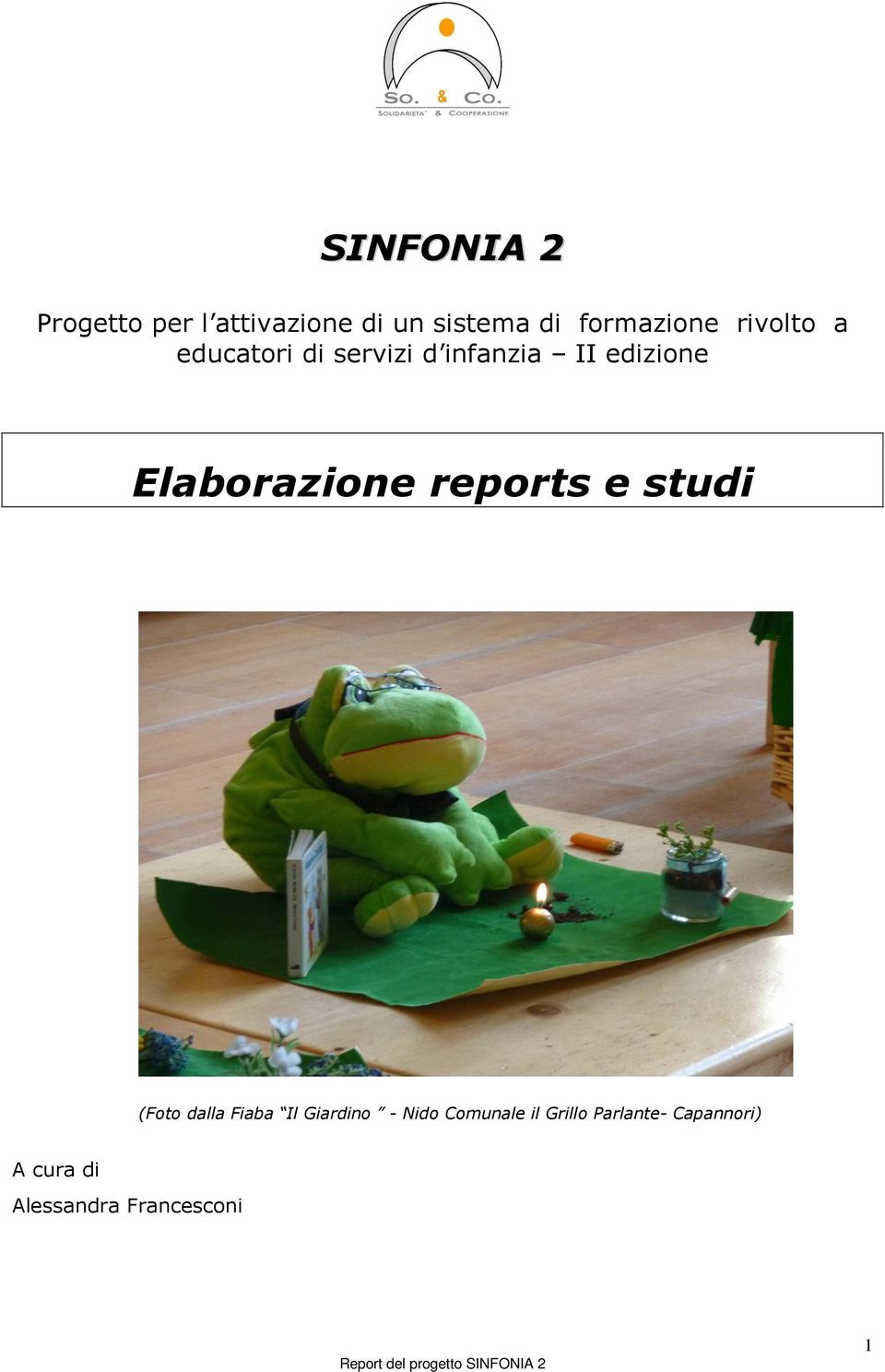 Elaborazione reports e studi (Foto dalla Fiaba Il Giardino -