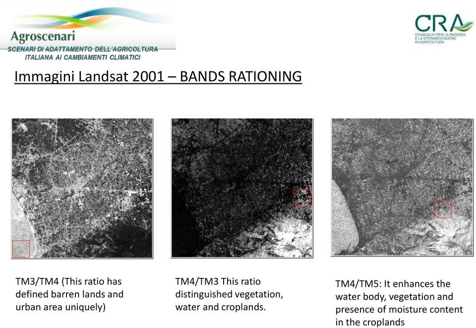 distinguished vegetation, water and croplands.