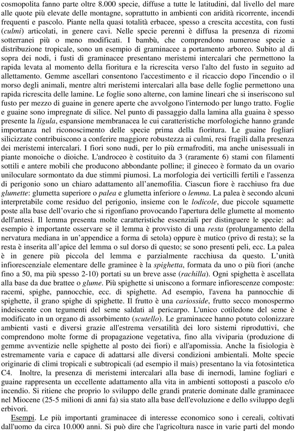 Piante nella quasi totalità erbacee, spesso a crescita accestita, con fusti (culmi) articolati, in genere cavi. Nelle specie perenni è diffusa la presenza di rizomi sotterranei più o meno modificati.