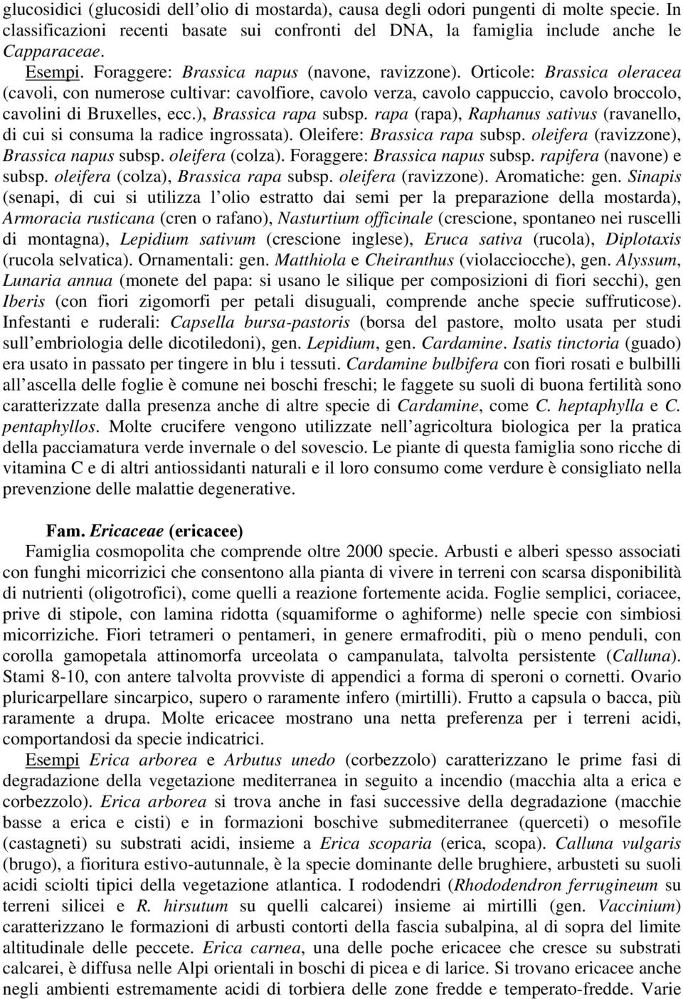 ), Brassica rapa subsp. rapa (rapa), Raphanus sativus (ravanello, di cui si consuma la radice ingrossata). Oleifere: Brassica rapa subsp. oleifera (ravizzone), Brassica napus subsp. oleifera (colza).