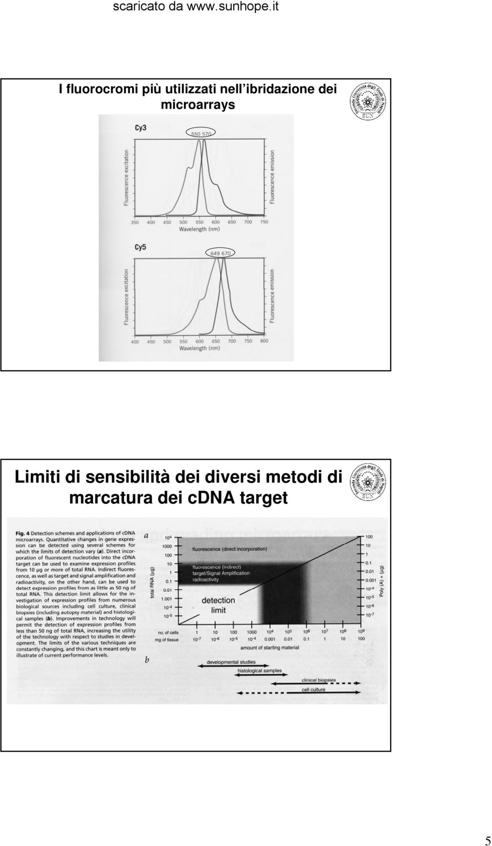 Limiti di sensibilità dei diversi