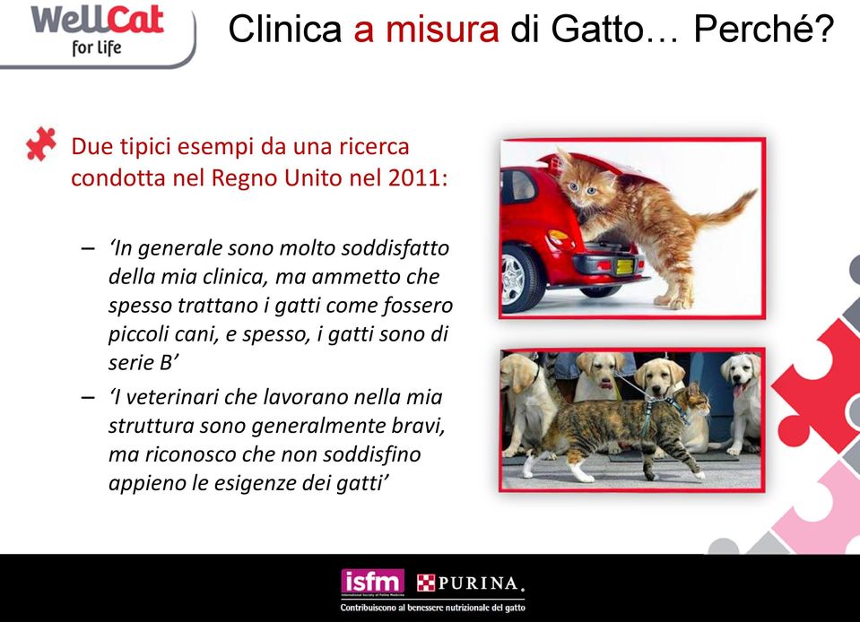 soddisfatto della mia clinica, ma ammetto che spesso trattano i gatti come fossero piccoli cani,