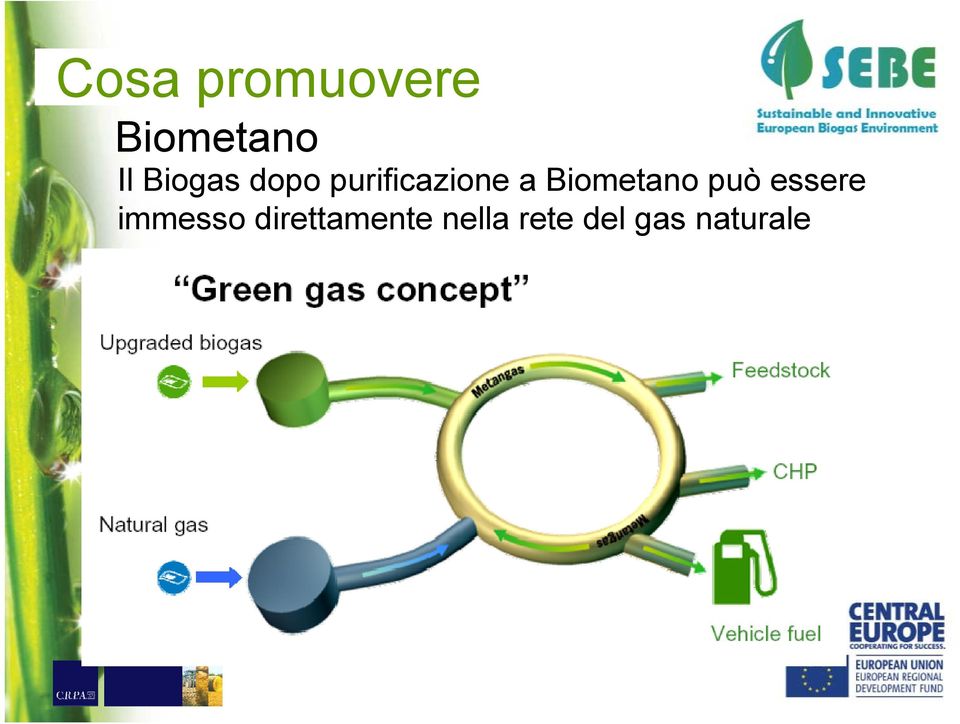 Biometano può essere immesso